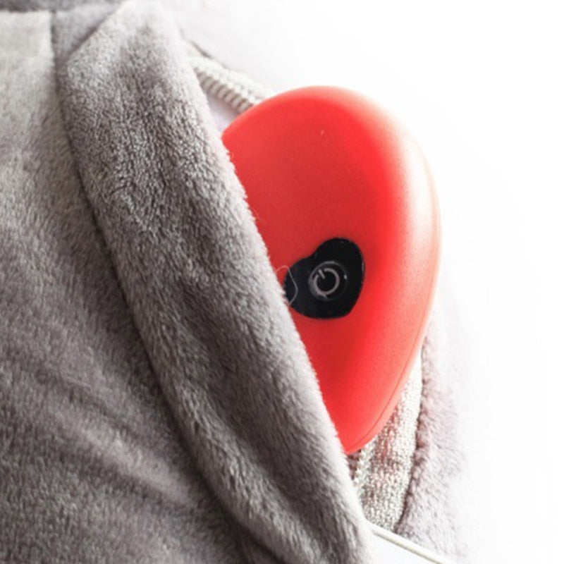 Heartbeat Puppy Training Toy