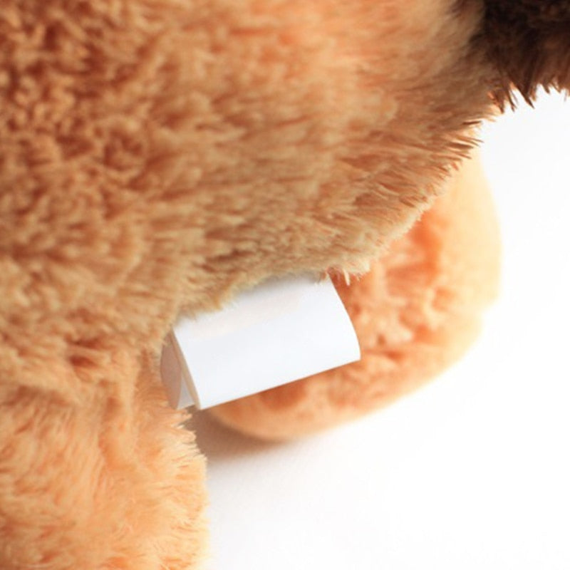 Heartbeat Puppy Training Toy